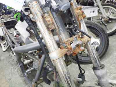 Kawasaki Balius ZR250