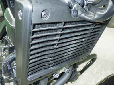 Honda Rebel CMX1100 2024