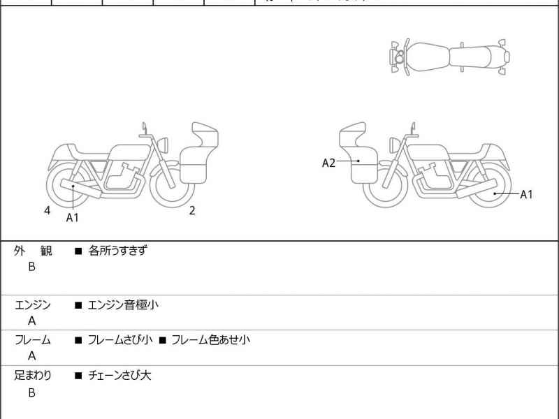 Kawasaki Ninja H2 SX 2023