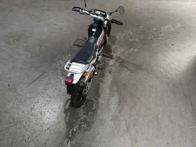 Kawasaki Super Sherpa