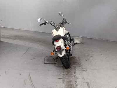 Yamaha XVS250 Drag Star