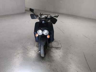 Honda PS250 Big Ruckus