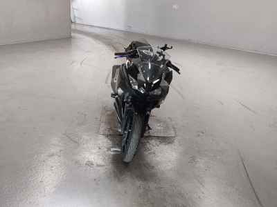 Kawasaki Ninja 250 2019