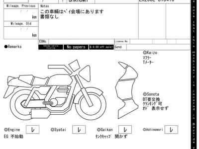 Kawasaki D-Tracker 250 X