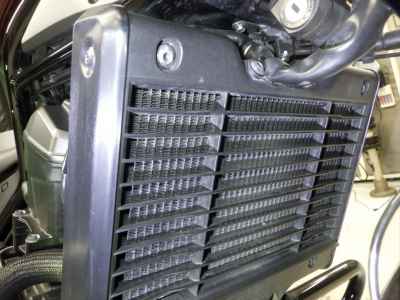 Honda Rebel CMX1100 DCT 2022