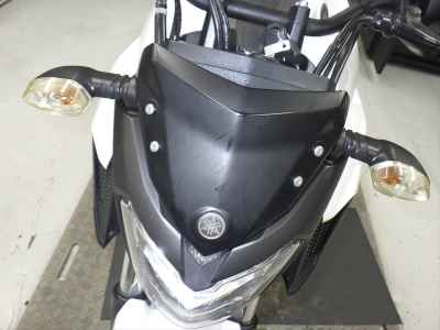 Yamaha FZ25 2017