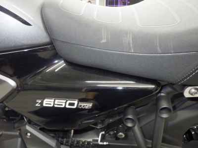 Kawasaki Z650RS 2023