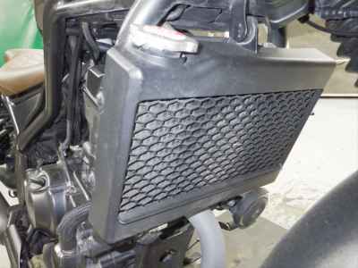 Honda Rebel S CMX250 2023