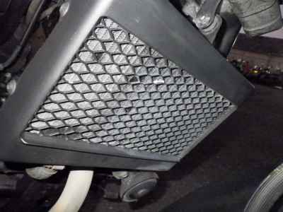 Honda Rebel CMX250 2019