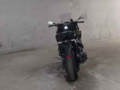 Kawasaki Ninja 1000SX 2024