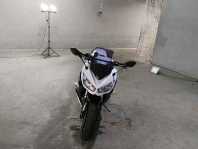 Kawasaki Ninja 1000 2011