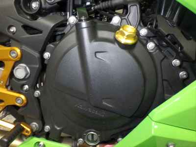 Kawasaki Ninja 250 2023