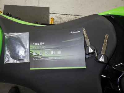 Kawasaki Ninja 250 2023