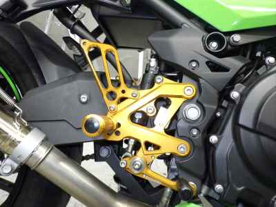 Kawasaki Ninja 250 2023