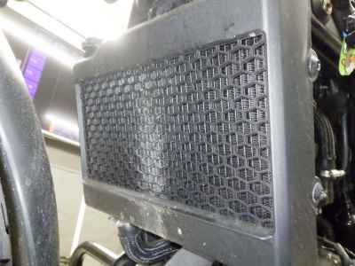 Honda Rebel CMX250 2023