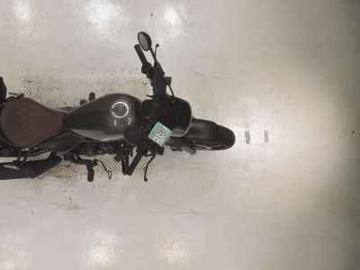 Honda Rebel CMX250 2023