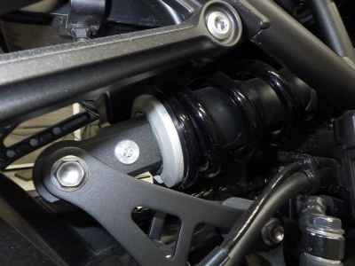 Kawasaki Z900RS Cafe 2023