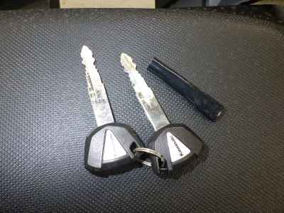 Kawasaki Ninja 1000SX 2024