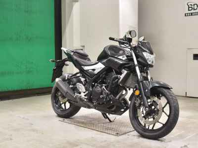 Yamaha MT-25 2016
