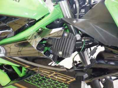 Kawasaki Ninja 250 2020