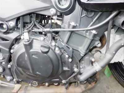 Kawasaki Z250 2022