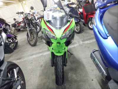 Kawasaki Ninja 250 2023