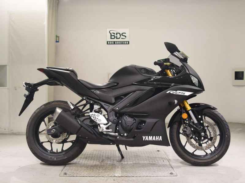 Yamaha YZF-R25 2019