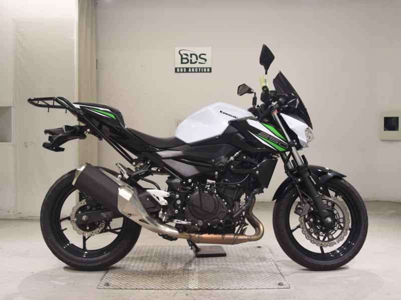 Kawasaki Z250 2019