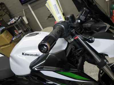 Kawasaki Z250 2019