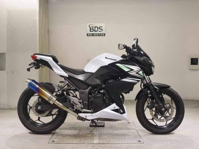 Kawasaki Z250 2014