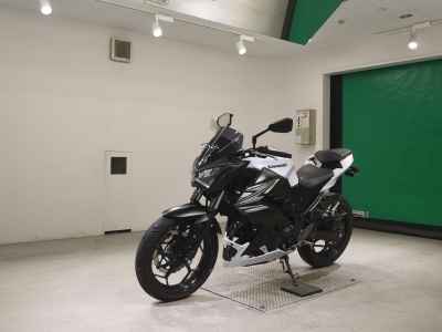 Kawasaki Z250 2014