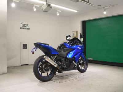 Kawasaki Ninja 250R 2008