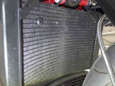 MV Agusta Brutale 800 Dragster RR 2019