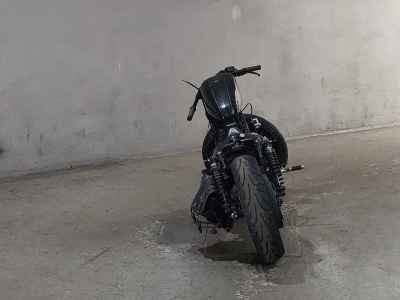 Harley-Davidson Roadster XL1200CX 2018