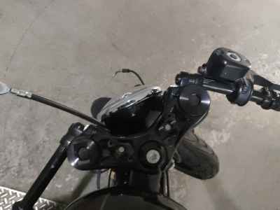 Harley-Davidson Roadster XL1200CX 2018