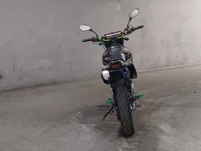Kawasaki D-Tracker 250 X 2009