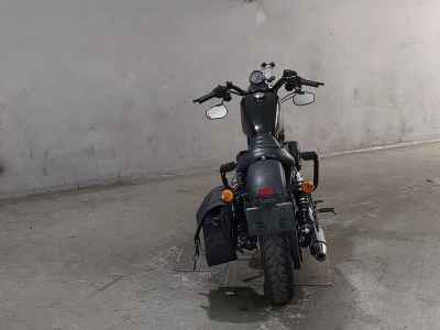 Harley-Davidson Sportster Iron XL883N 2015