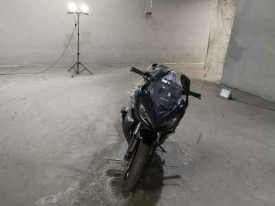 Kawasaki Ninja 1000 2019