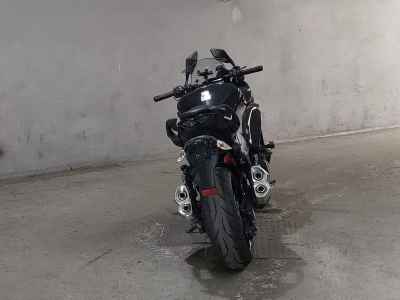 Kawasaki Ninja 1000 2019