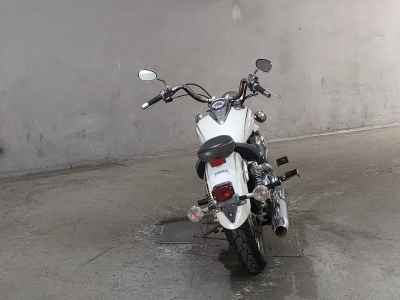 Yamaha XVS250 Drag Star 2008