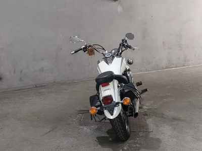 Yamaha XVS250 Drag Star