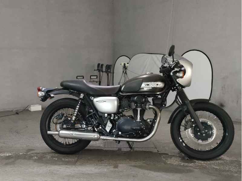 Kawasaki W800 2019