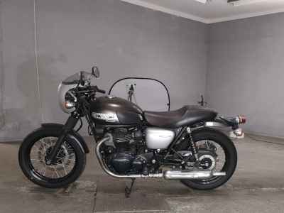 Kawasaki W800 2019