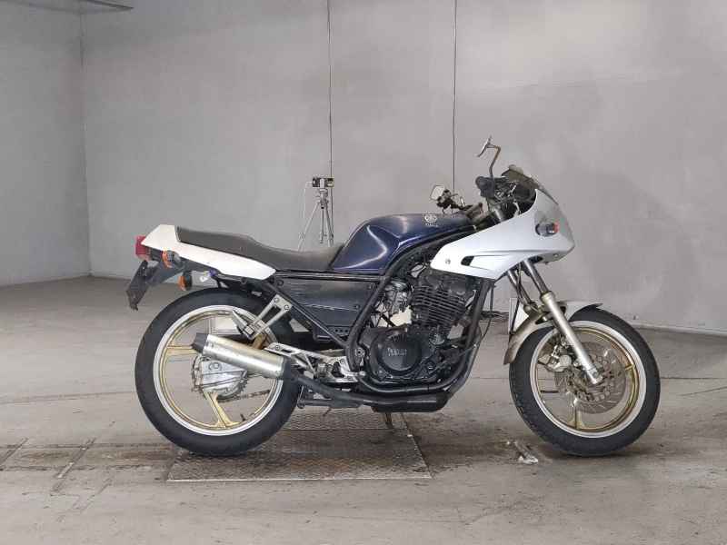 Yamaha SRX250