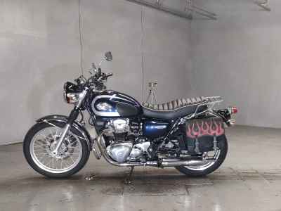 Kawasaki W800 2021