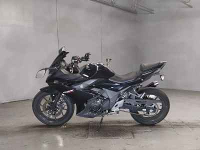 Suzuki GSX250R