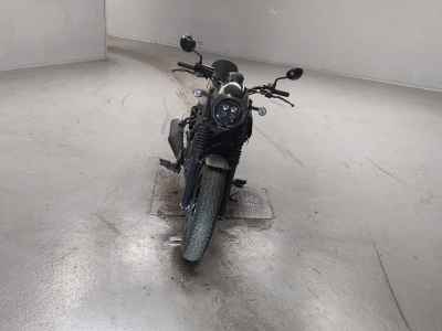 Honda Rebel S CMX250 2023