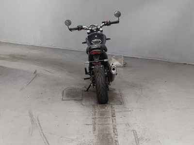 Triumph Speed 400 2024