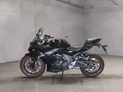 Suzuki GSX250R