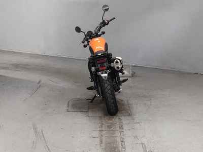 Honda CL250 2023